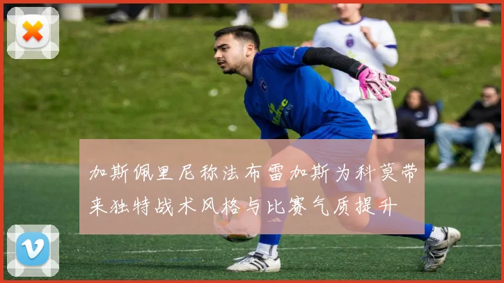 加斯佩里尼称法布雷加斯为科莫带来独特战术风格与比赛气质提升
