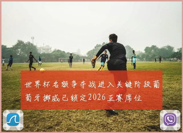 世界杯名额争夺战进入关键阶段葡萄牙挪威已锁定2026正赛席位