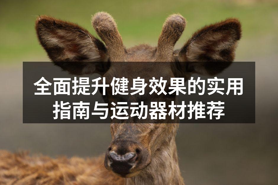 科学锻炼助力健康生活
